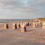 Ostsee Graal-mueritz Kuestenwald *