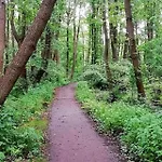 Ostsee Graal-mueritz Kuestenwald شقة Gelbensande