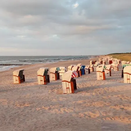 Ostsee Graal-mueritz Kuestenwald *