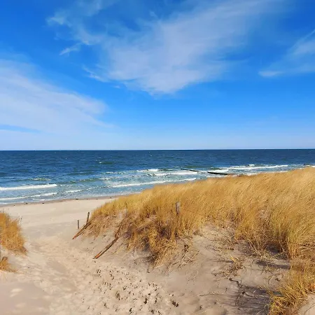 Ostsee Graal-mueritz Kuestenwald * Gelbensande
