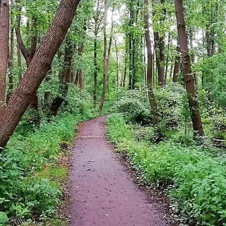 Ostsee Graal-mueritz Kuestenwald Lägenhet Gelbensande