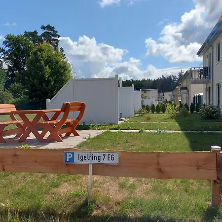 Ostsee Graal-mueritz Kuestenwald