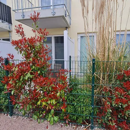 Ostsee Graal-mueritz Kuestenwald * Gelbensande