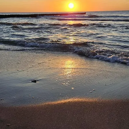 Ostsee Graal-mueritz Kuestenwald Lägenhet