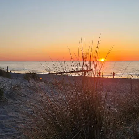 Ostsee Graal-mueritz Kuestenwald Lägenhet Gelbensande