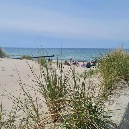 Ostsee Graal-mueritz Kuestenwald *