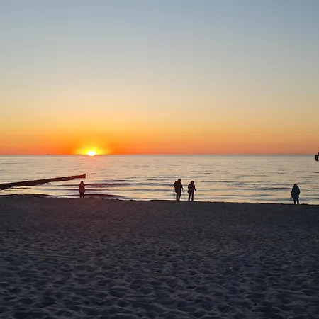 Ostsee Graal-mueritz Kuestenwald * Gelbensande