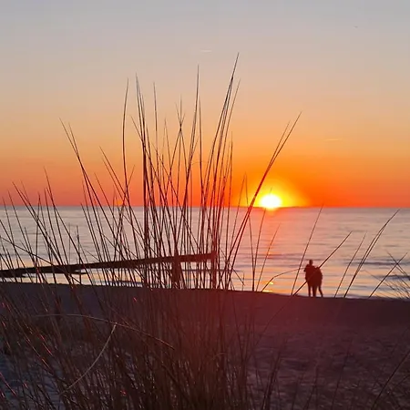 Lägenhet Ostsee Graal-mueritz Kuestenwald