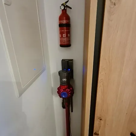 Ostsee Graal-mueritz Kuestenwald