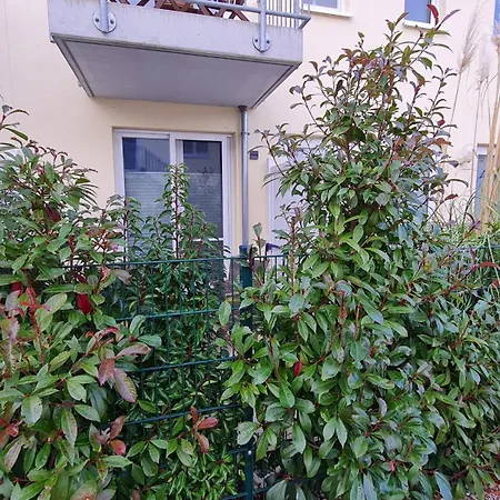 Lägenhet Ostsee Graal-mueritz Kuestenwald *