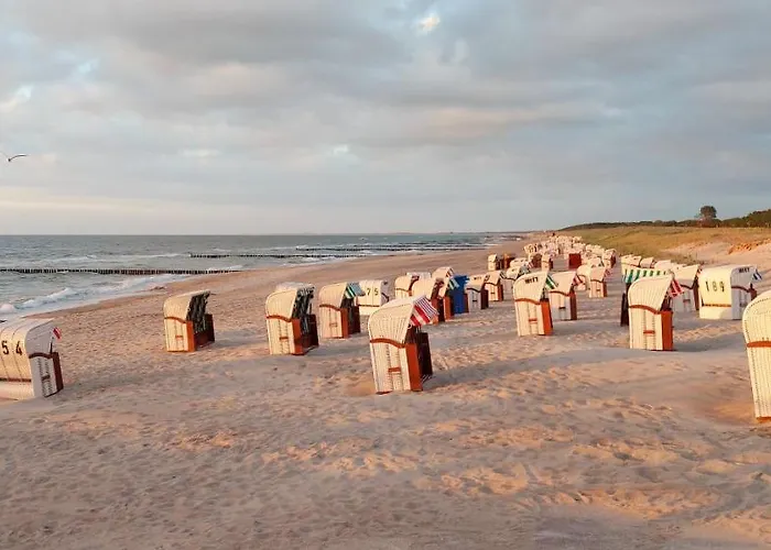 Ostsee Graal-mueritz Kuestenwald *