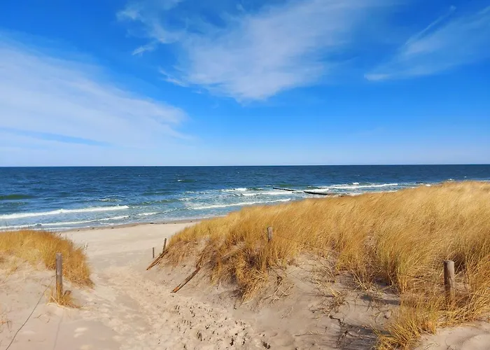 Ostsee Graal-mueritz Kuestenwald * Gelbensande