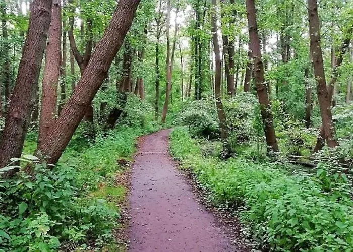 Ostsee Graal-mueritz Kuestenwald Appartamento Gelbensande