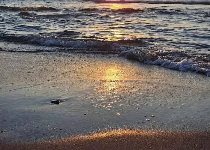 Ostsee Graal-mueritz Kuestenwald Appartamento