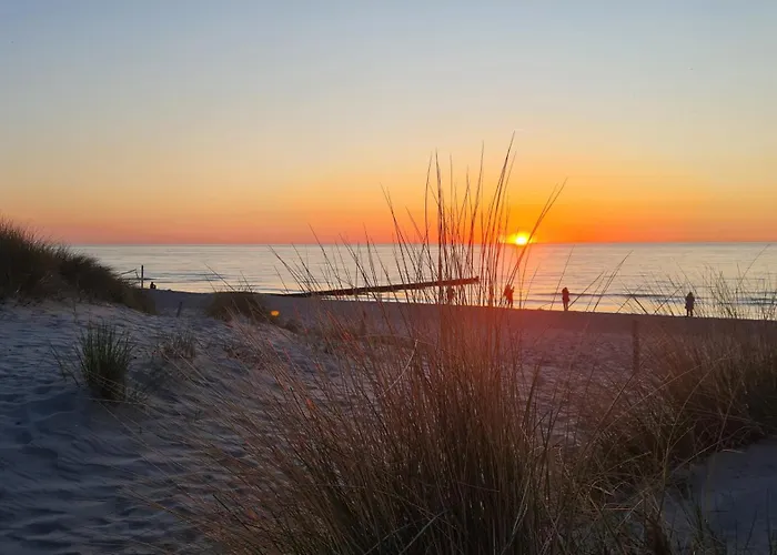 Ostsee Graal-mueritz Kuestenwald Appartamento Gelbensande