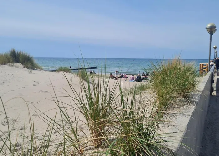 Ostsee Graal-mueritz Kuestenwald *