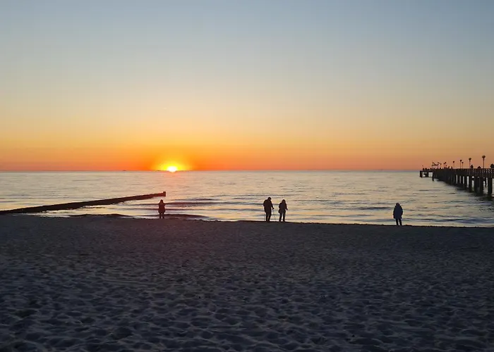 Ostsee Graal-mueritz Kuestenwald * Gelbensande