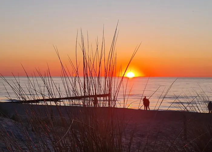 Appartamento Ostsee Graal-mueritz Kuestenwald