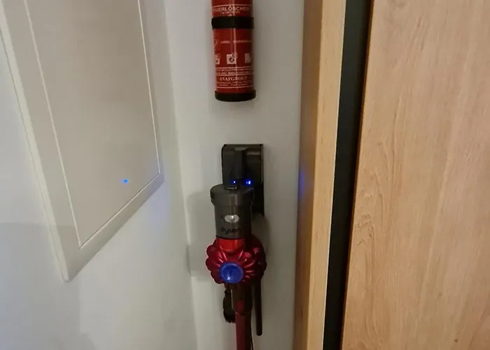 Ostsee Graal-mueritz Kuestenwald