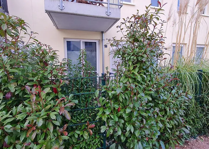 Appartamento Ostsee Graal-mueritz Kuestenwald *